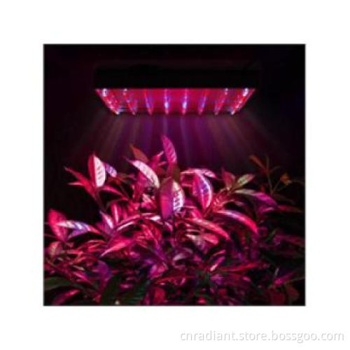 LED plant grow light for indoors,LED plant growing light,14W,LOW POWER